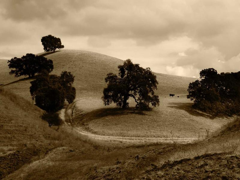 sudoku printable screenshot 1